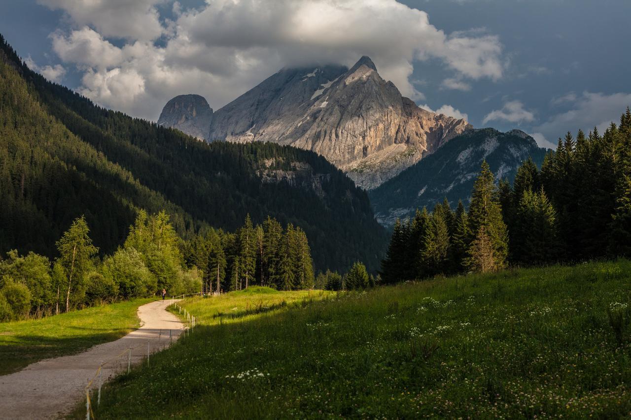 Cesa Rotic Hotel Val Di Fassa Buitenkant foto